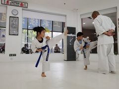 -极真空手道修远道场