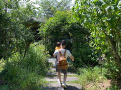 -杭州开元森泊度假乐园