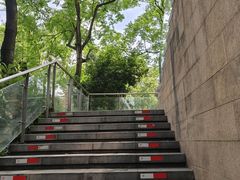 -成都保利公园皇冠假日酒店(熊猫基地店)