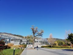 -北京植物园南门售票处