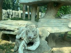 -北京野生动物园