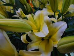 -农汤老店(顺联公园里店)