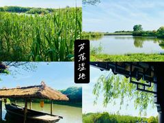 -沙家浜风景区