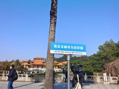 -三水森林公园