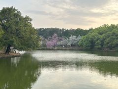 -华南国家植物园-售票处