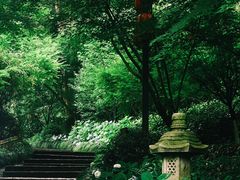 -杭州植物园