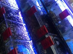 -金海湾海鲜排档(朱家尖店)