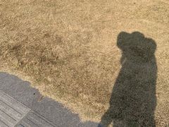 -国际非物质文化遗产博览园