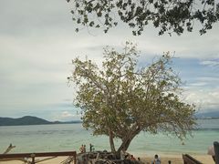 -东姑阿都拉曼海洋公园