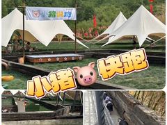 -栾川竹海野生动物园