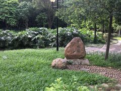 -云溪植物园