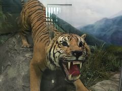 -国家自然博物馆