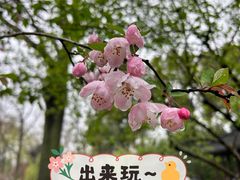 -拙政园