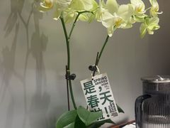 -麻喜大