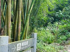 -广州市白云山风景名胜区