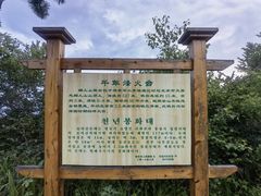 -帽儿山国家森林公园