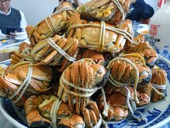 阳澄湖大闸蟹-乡乐园蟹庄·阳澄湖农家乐