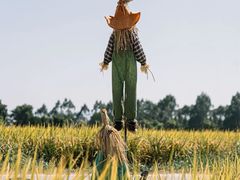 -光明小镇欢乐田园