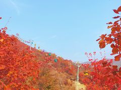 -周口店坡峰岭风景区