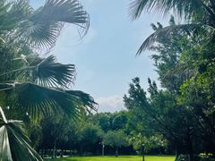 -深圳湾公园(南山区)