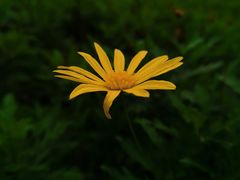 -重庆中央公园(渝北区)