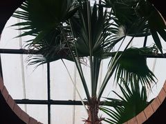 -陶然居·重庆菜(生态园店)