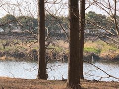 -滴水湖