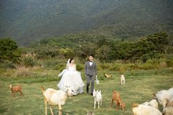 -麦田·婚纱摄影(天河新天地店)
