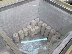 -洪馨椰子