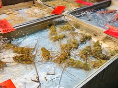-湛江渔港·大排档(乐园路总店)