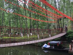 -合肥滨湖国家森林公园