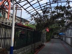 -大海别墅民宿农家院(十渡店)