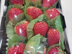 -百果园PAGODA(和泓四季店)