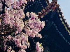 -北京国子监胡同