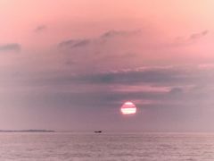 -三亚福朋喜来登酒店·大堂吧