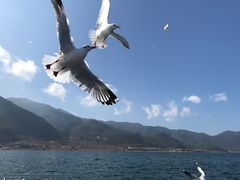 -丽江泸沽湖景区