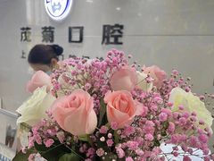 -茂菊口腔连锁(浦东南路店)