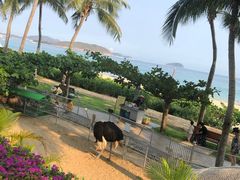 -三亚亚龙湾天域度假酒店