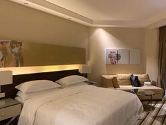 -芽庄喜来登水疗酒店