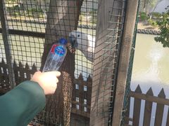 -东康桂家农庄