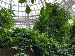 -郑州植物园