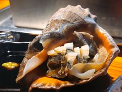 韩式海螺-丹东特色烤肉(南光三部店)