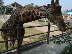 -西安秦岭野生动物园