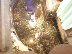 -淀里船宴(卓达店)