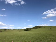 -塞罕坝国家级自然保护区