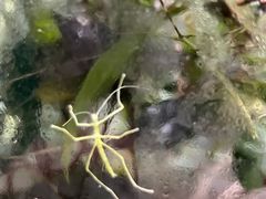 -上海昆虫博物馆