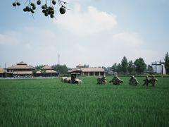 -乌村