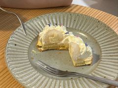 -猫里有甜