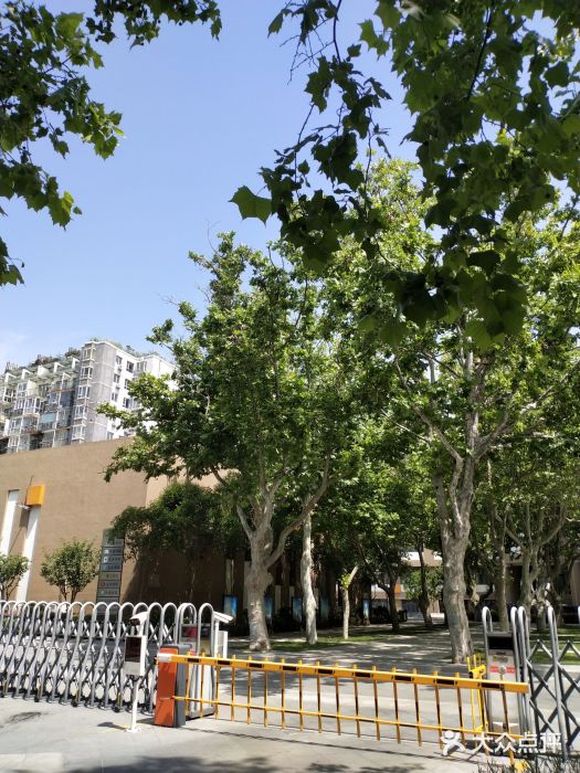 山东省青岛第二中学(江西路分校)图片