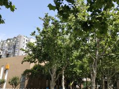 -山东省青岛第二中学(江西路分校)
